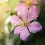 纳达尔联赛第二球后续来了(纳达尔联赛第二球后续来了哪些球员) 纳达尔联赛第二球后续来了(纳达尔联赛第二球后续来了哪些球员)